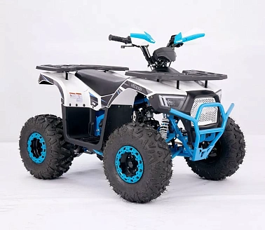 Квадроцикл  YACOTA SIRIUS 110			 			