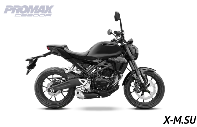 Мотоцикл PROMAX CB300RL (4V, 6G)