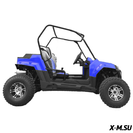 Багги HOOLEOX 300