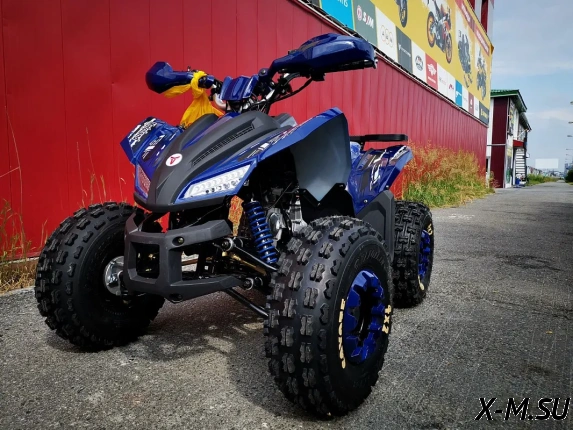 Квадроцикл MOTOLAND (МОТОЛЕНД) 125 COYOTE PRO