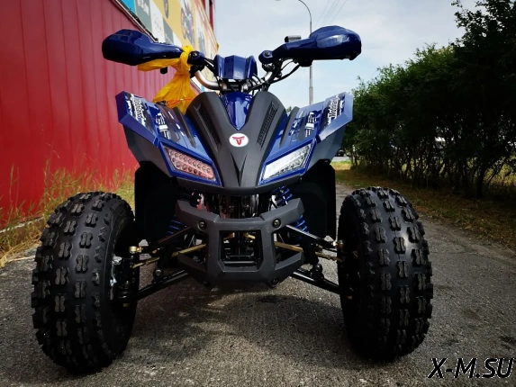 Квадроцикл MOTOLAND (МОТОЛЕНД) 125 COYOTE PRO