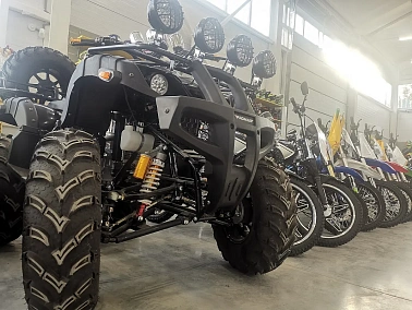 Квадроцикл PROMAX LEO 300 Max (кардан)