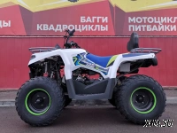 Квадроцикл PROMAX RENEGADE 300