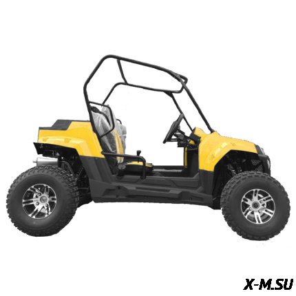 Багги HOOLEOX 300