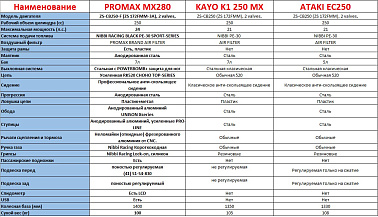Мотоцикл MOTOLAND (МОТОЛЕНД) Кросс MTX300 (175FMM)