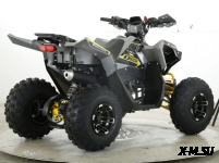 Квадроцикл бензиновый MOTAX GRIZLIK  RAPTOR D125 LUX (3+1)