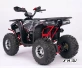 Квадроцикл YACOTA Sirius LD 125