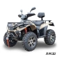 КВАДРОЦИКЛ LINHAI-YAMAHA D400 КАРБЮРАТОР