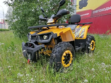 Квадроцикл PROMAX STORM 300сс LUX